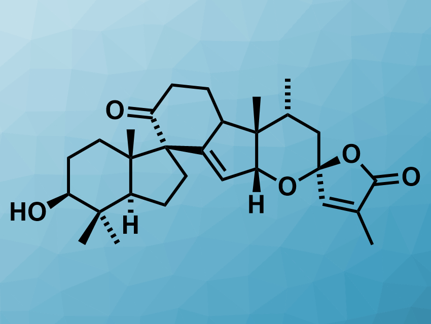 Total Synthesis of (−)-Spirochensilide A