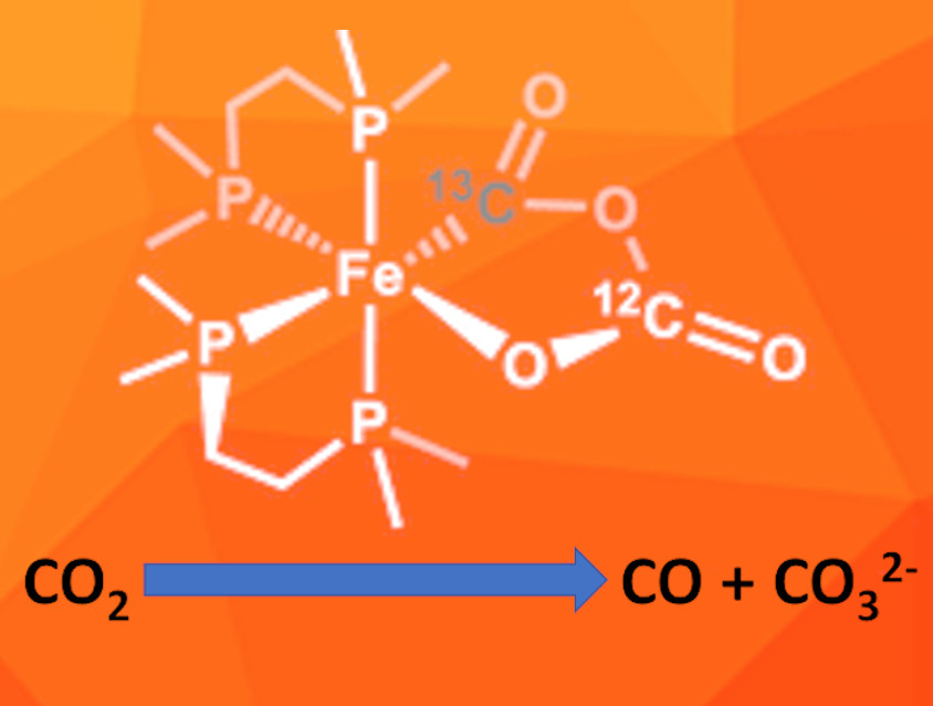 Iron-Mediated Reductive Disproportionation of CO2