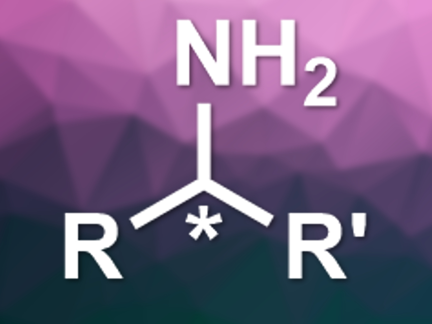 Enzyme-Catalyzed Synthesis of Chiral Primary Amines