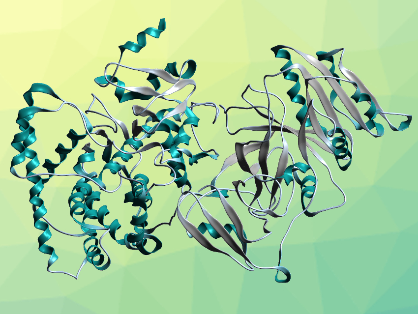Self-Sufficient Cytochrome P450 Enzyme