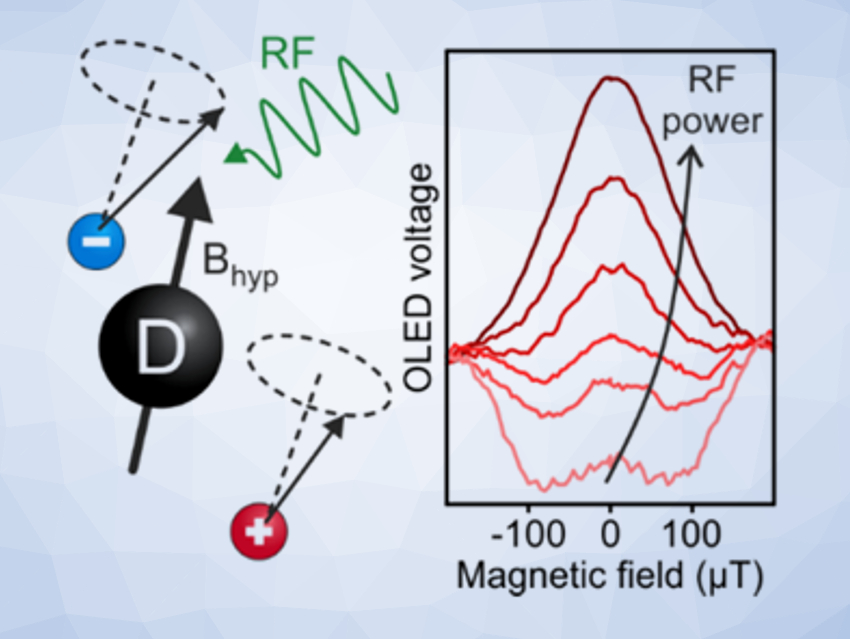 What Do Birds and Light-Emitting Diodes Have in Common?