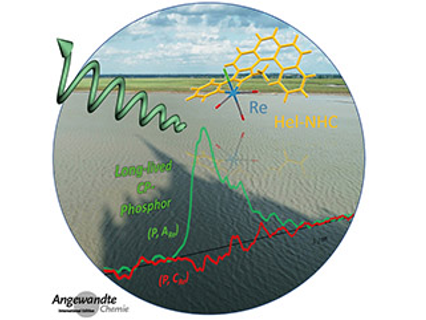 Angewandte Chemie 22/2020: Fundamental Mechanisms