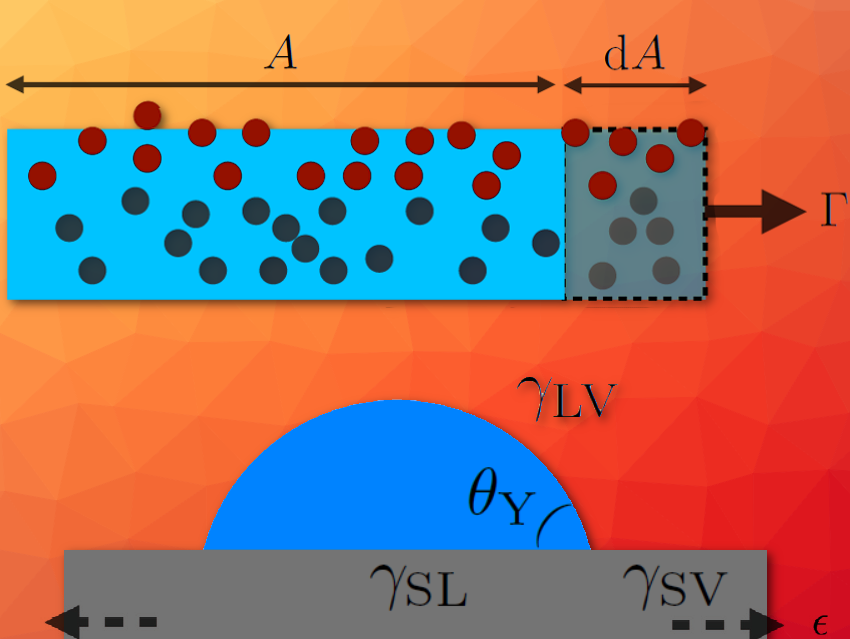 Stretching a Solid Modifies its Wettability … Or Does it?