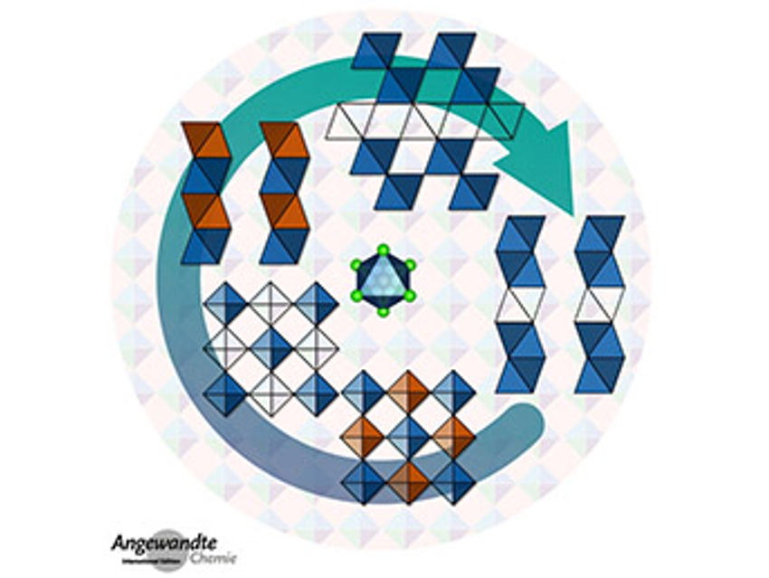 Angewandte Chemie 23/2020: Unique and Critical