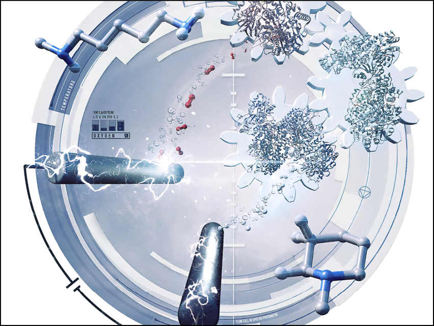 Bioelectrochemical Synthesis of N-Heterocycles