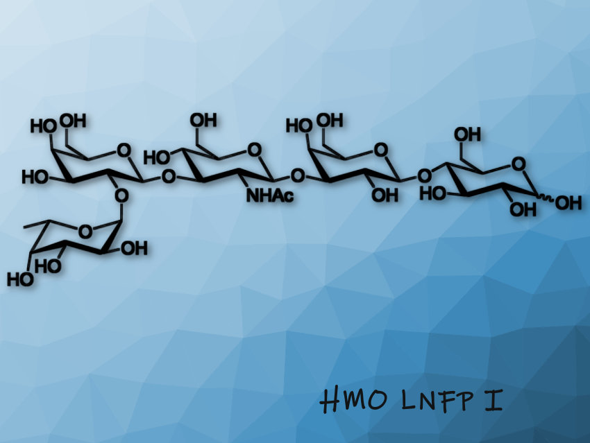 Human Milk Oligosaccharides Inhibit Norovirus Diseases