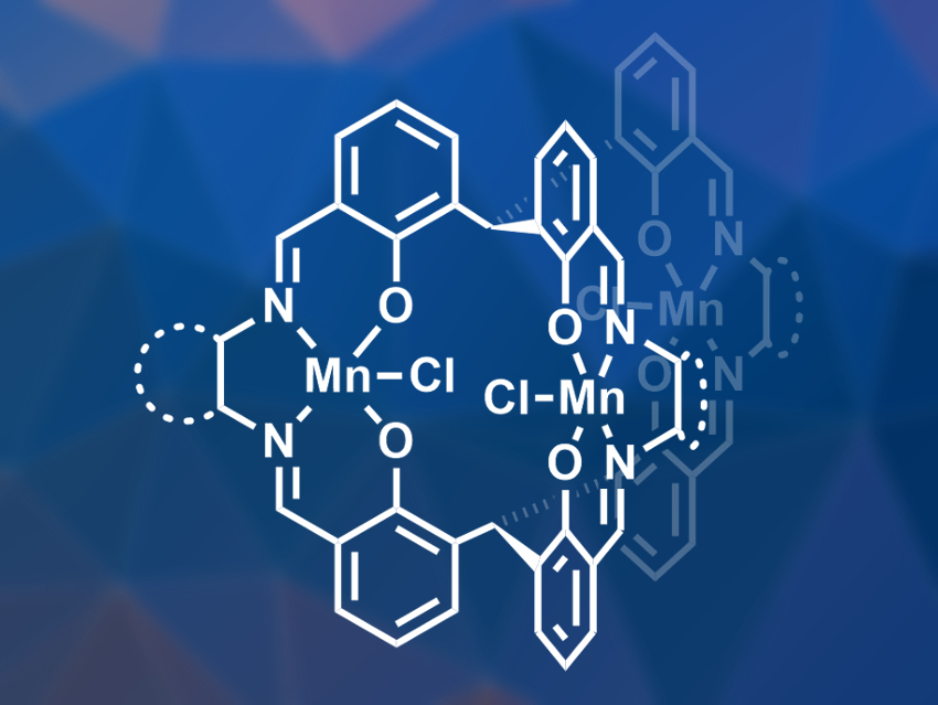 Manganese Complex Protects against H2O2-Induced Stroke Damage