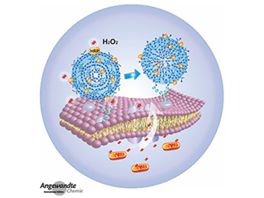 Angewandte Chemie 24/2020: Chemists’ Contributions