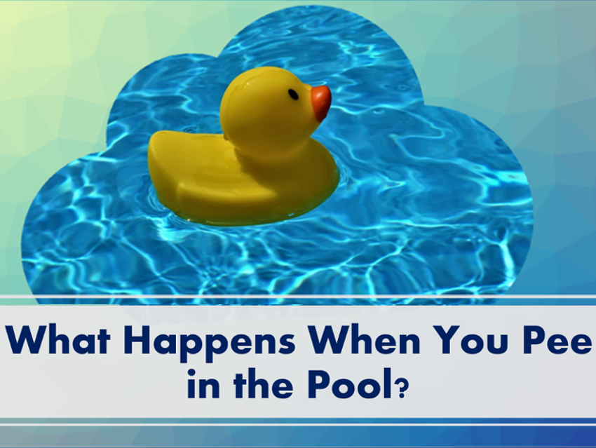 What Happens When You Pee in the Pool?
