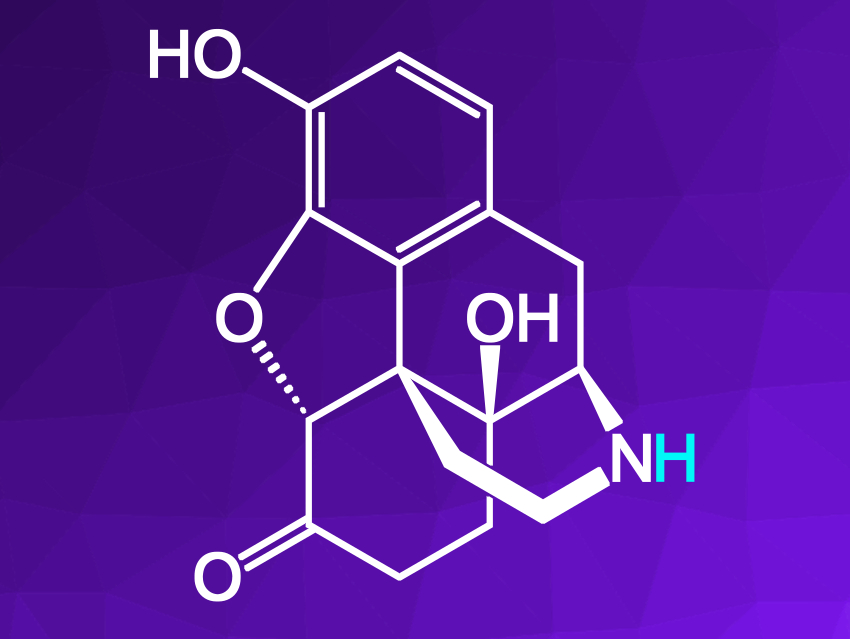 Simple Electrochemical Path to Opioid Antagonists