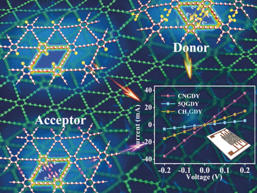 Two-Dimensional Carbon Networks