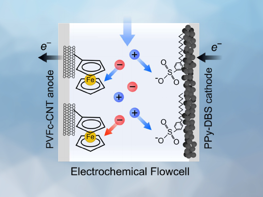 Selective Removal of Vanadium Oxyanions from Water