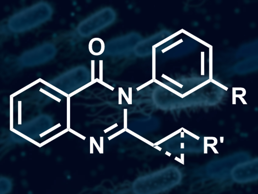 Activity-Driven Discovery of Antibacterial Compounds