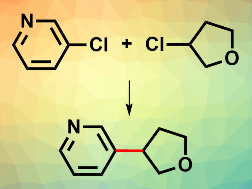 Cross-Electrophile Coupling of Alkyl and Aryl Chlorides