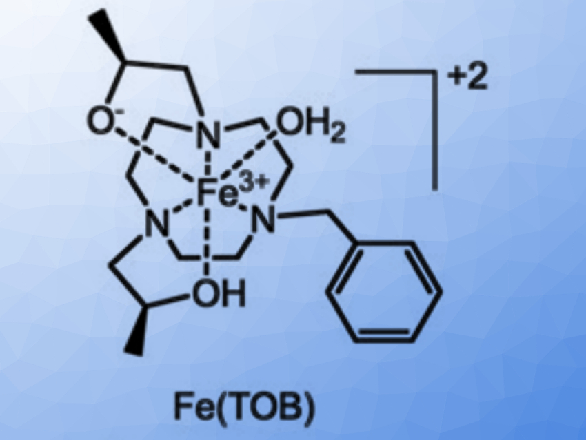 Catch-and-Release Plan for MRI Contrast Agents