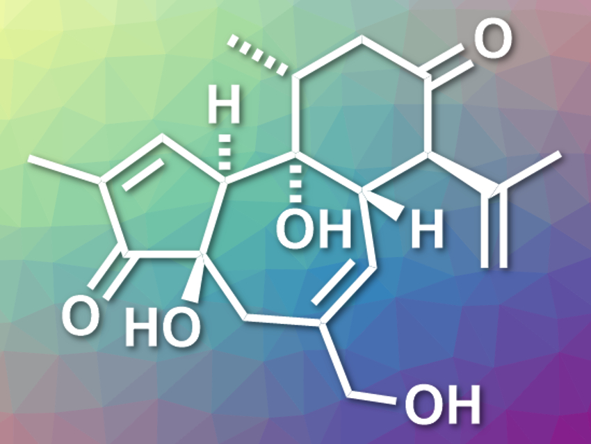 Total Synthesis of Crotophorbolone