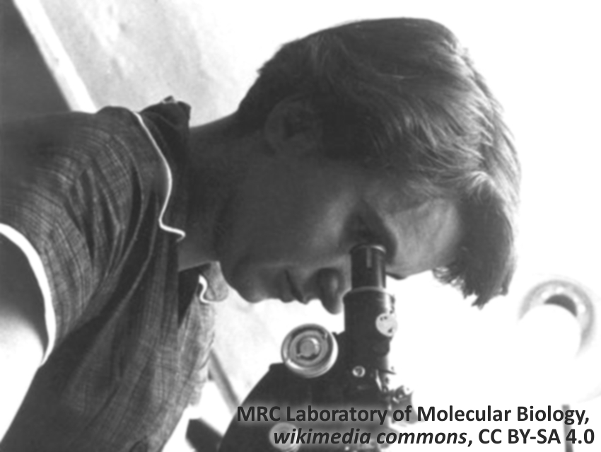 100th Birthday: Rosalind Franklin