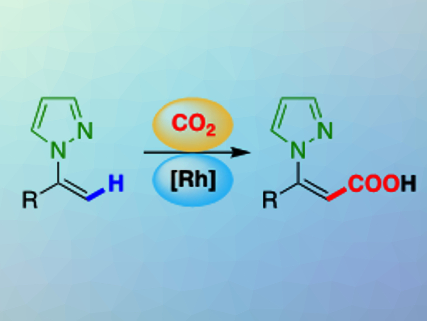C–H Bond Functionalization with CO2