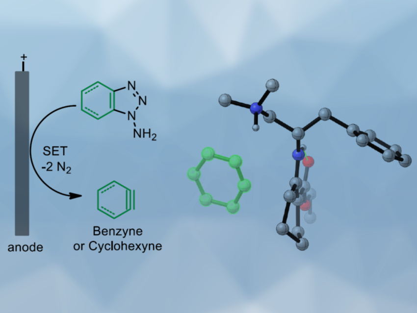 Asymmetric Catalysis with Anodic Benzyne