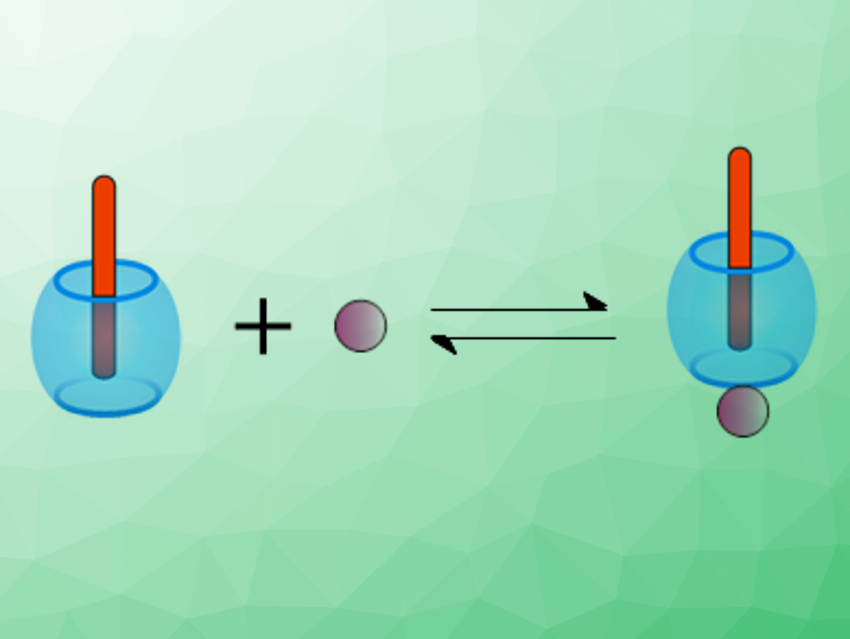 Salt-Induced Release from Macrocycles