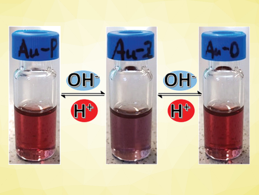 Reversible Self-Assembly of Gold Nanoparticles