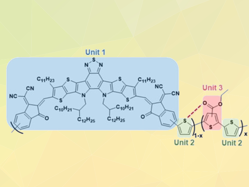 All-Polymer Solar Cells