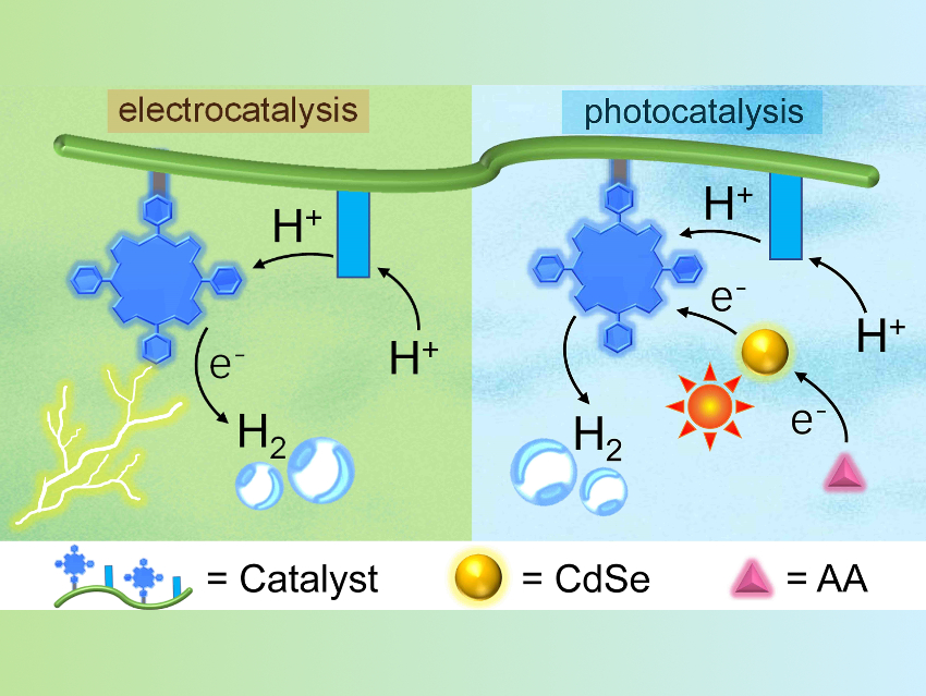 Porphyrin–Polymer Hybrids for Hydrogen Evolution