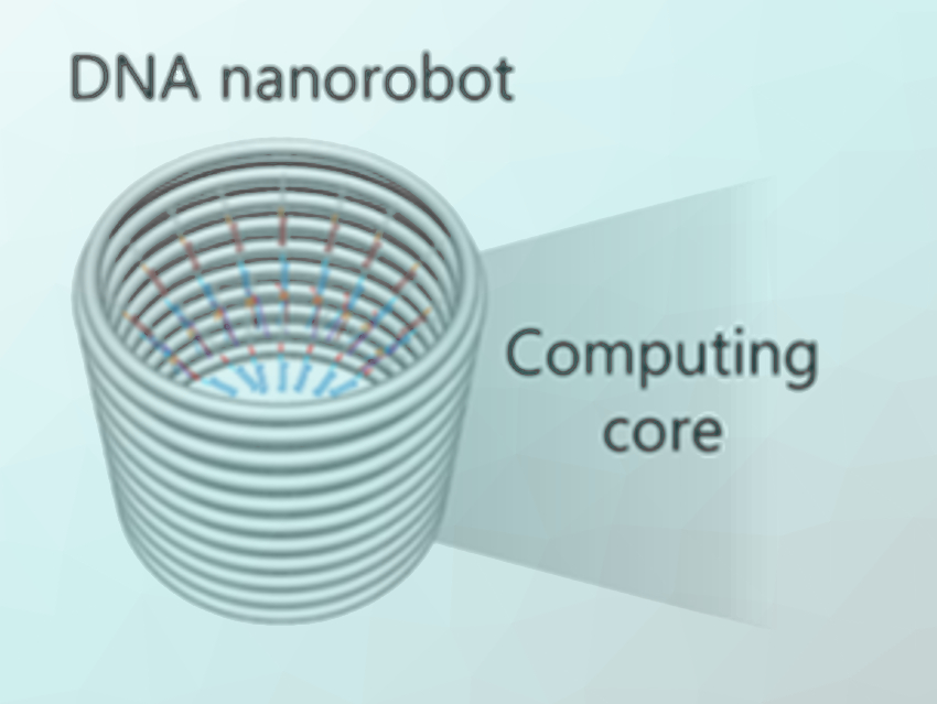 DNA Nanorobot Controls Blood Clotting