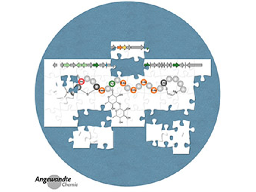 Angewandte Chemie 31/2020: Moving into the Future