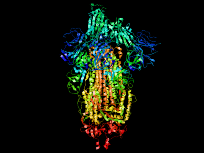 Stabilized Versions of the SARS-CoV-2 Spike Protein