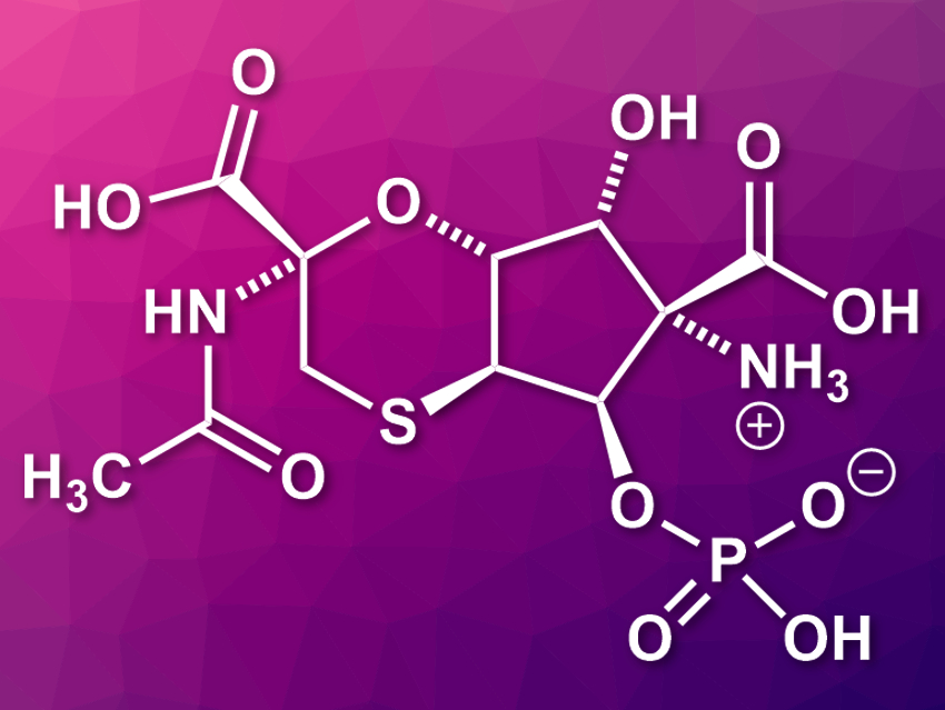 Total Synthesis of Tagetitoxin