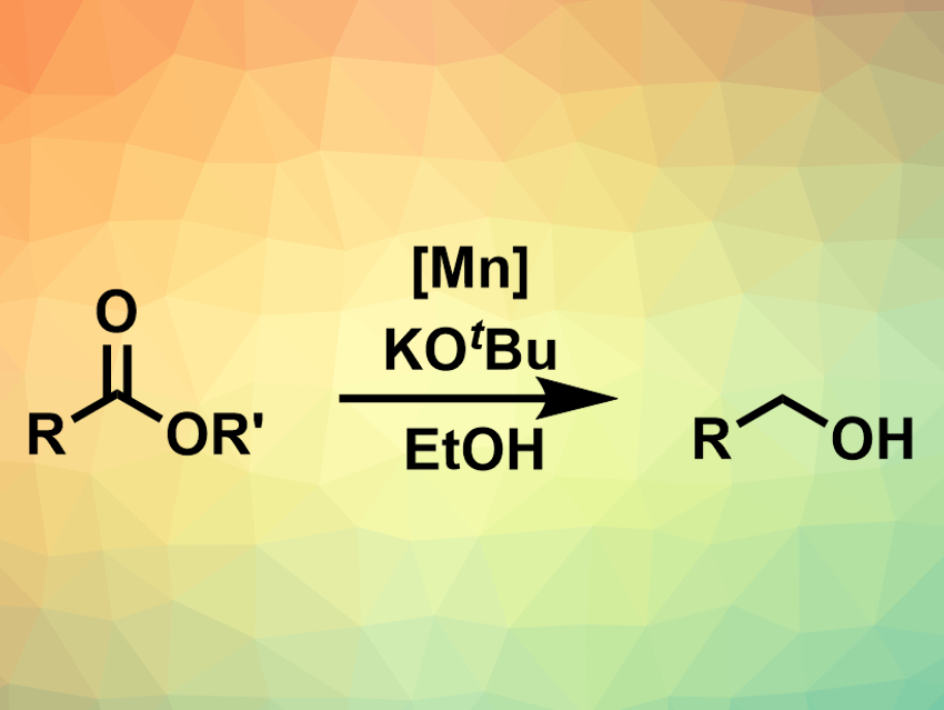 Mn-Catalyzed Transfer Hydrogenation of Esters
