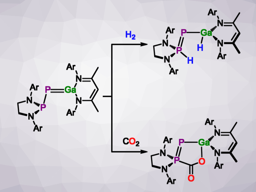 Phosphorus–Gallium Double Bond
