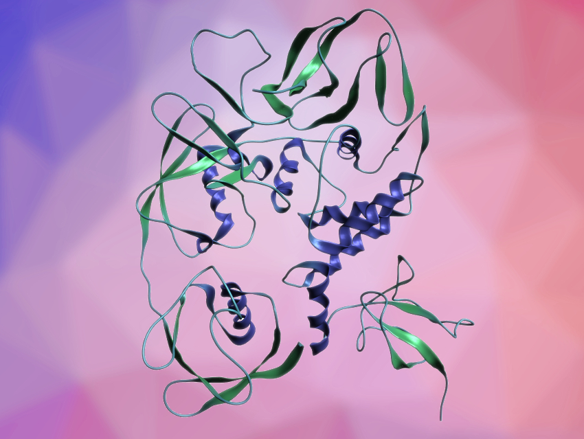 Targeting Coronavirus Protease Could Have Dual Effect