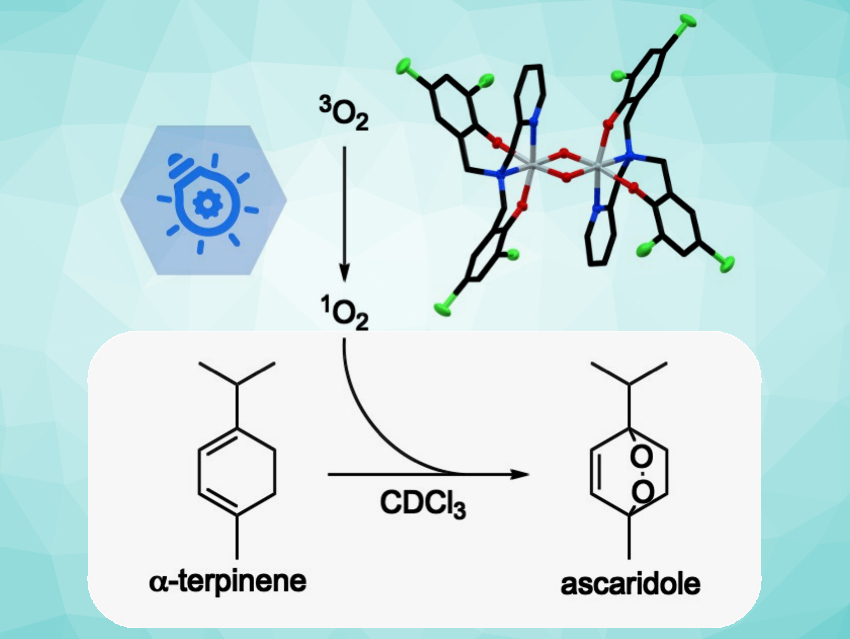 Titanium Complexes as an Alternative to TiO2 Photosensitizers