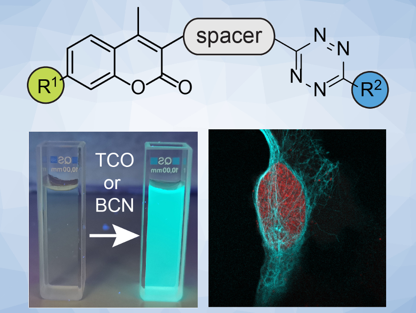 Coumarin–Tetrazine Probes for Bioimaging