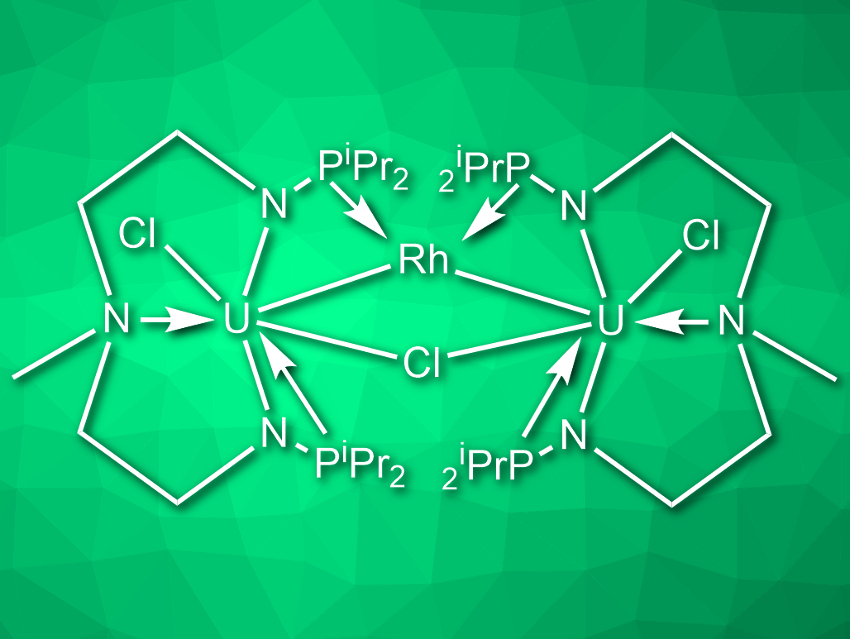 Uranium-Rhodium Cluster Cleaves Dinitrogen