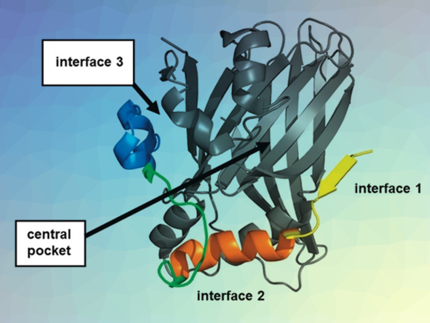 DNA-Encoded Combinatorial Synthesis