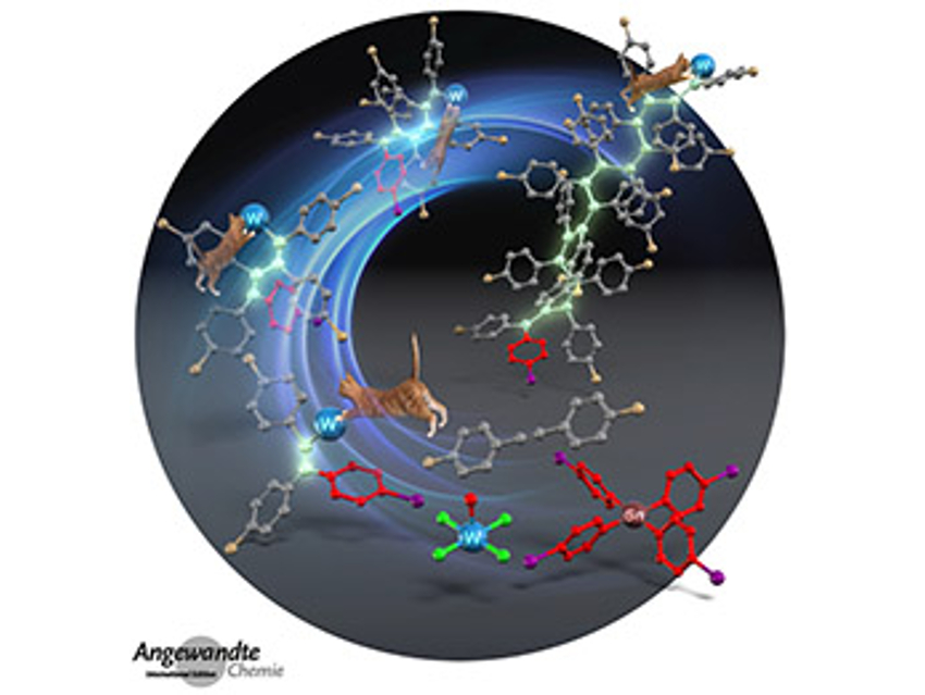 Angewandte Chemie 35/2020: For Gold Contend…