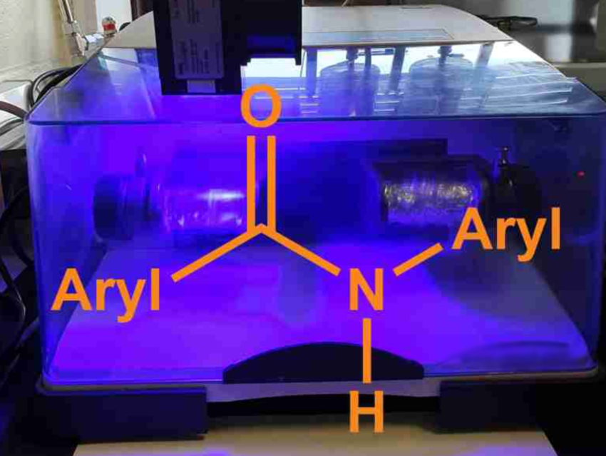 Mechanochemical Synthesis of N-Arylamides