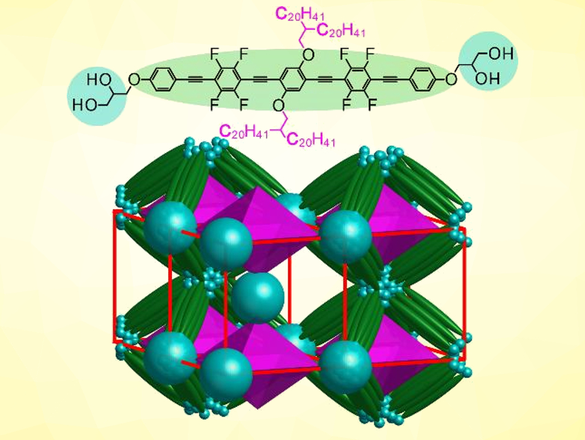 Liquid Organic Frameworks