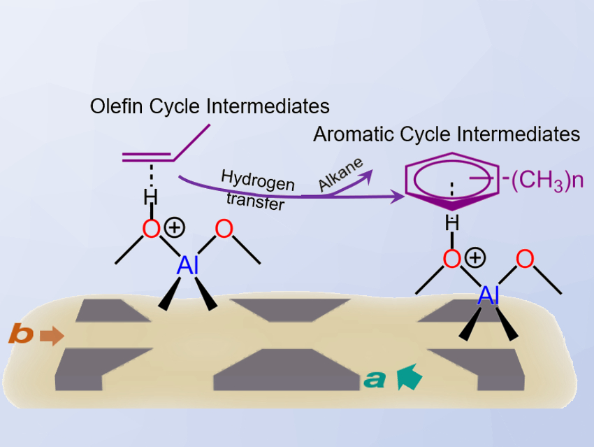How Do Zeolite Channels Influence Catalysis?
