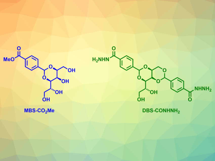 Hybrid Hydrogel for Drug Delivery