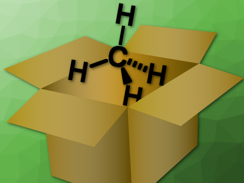 Carbon Nanoflower Pellets Store Methane