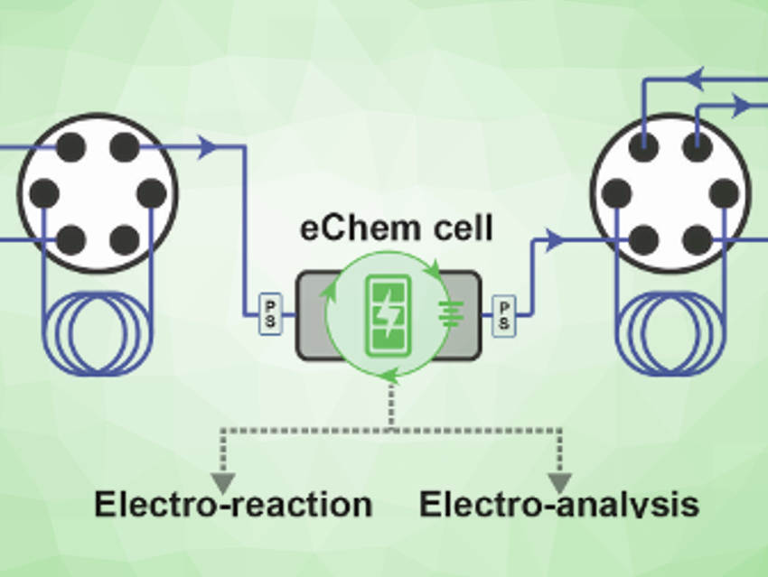 Automated Electroorganic Experiments