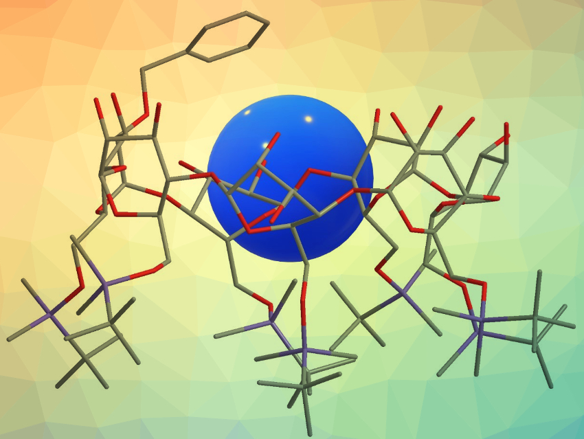 Guest Inclusion by Cyclodextrins in Nonpolar Solvents