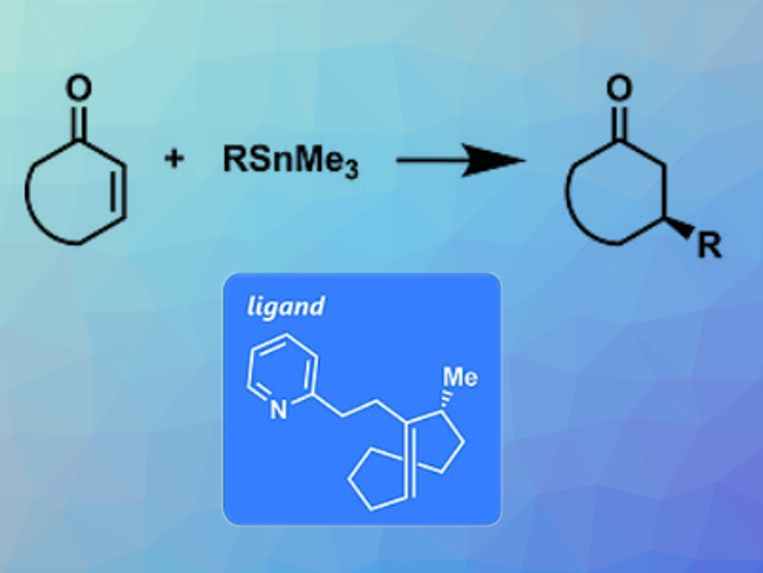 Trans-Cyclooctenes as Chiral Ligands