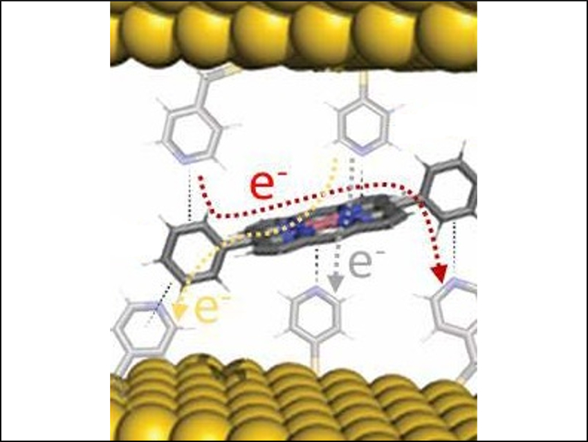 Metalloporphyrin-Based Wires