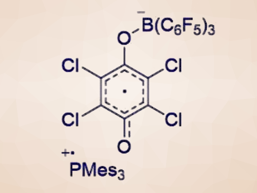 Frustrated Lewis Pair Radical Chemistry