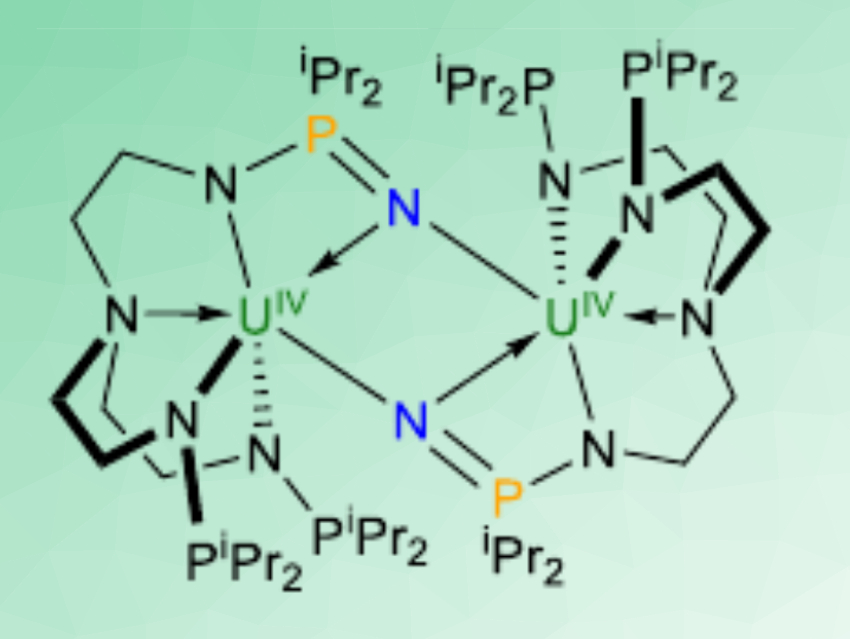 N2 and O2 Cleavage by a Uranium(III) Complex